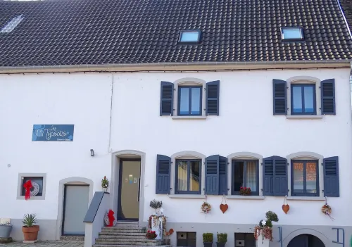 Les Myosotis Chambres d'hôtes - Sarreguemines