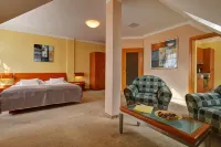 Hotel la Passionaria 마리안스케라즈네 주변 호텔