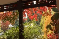 Ayun Fort Inn Hotels in Chitral