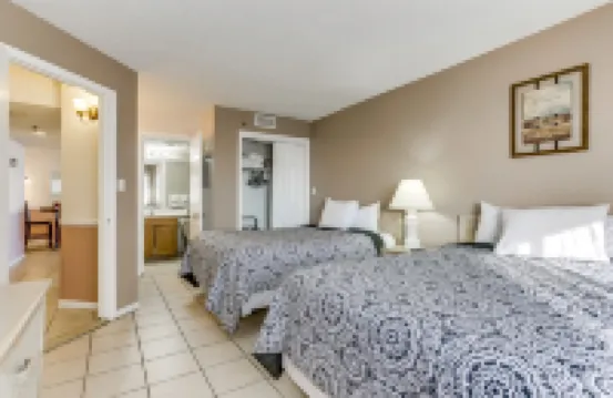 海洋森林廣場酒店 酒店