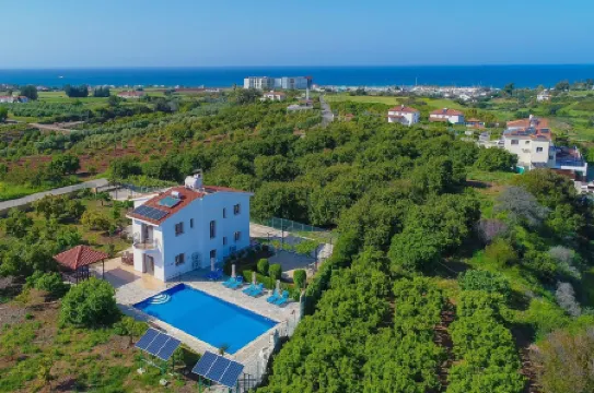 Villa Leda Finiki in Latchi