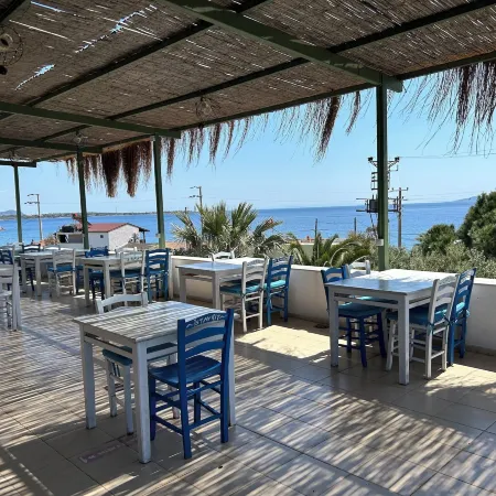 Ekin Assos