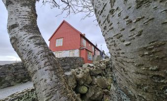 Downtown - Jørgen Frantz - Marina