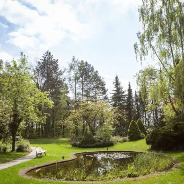 VitalHotel Ascona
