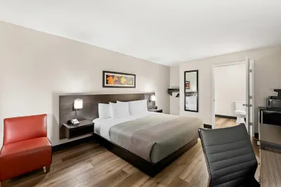 Quality Inn & Suites Hotels near Miller's Mud Mill