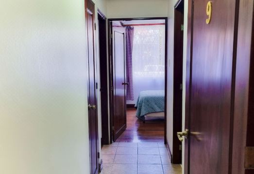 5. 사바나 스튜디오..