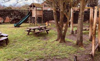 The Cherry Tree