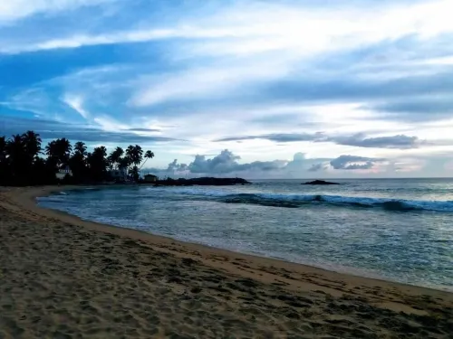 マリカズ イエロー ハウス