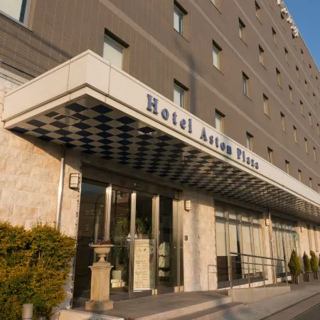 Hotel Aston Plaza Himeji