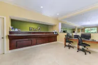 The Inn on Storrs Hotels in Canterbury