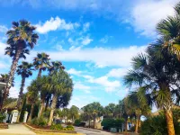 Grand Palms Resort - Wifi