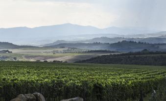 Podere Brizio