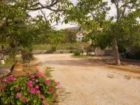 Agroktima Hotels in Chios