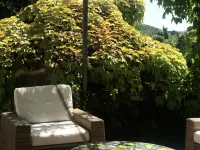 Il Pezzatino Hotels in Rufina