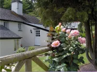 Frogwell Hotel a Strete