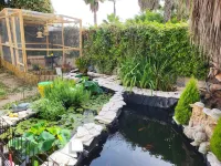 B&B Magna Grecia Hotels in Джиццерія