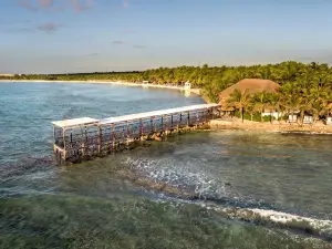 El Dorado Seaside Palms, Catamarán, Cenote & More Inclusive