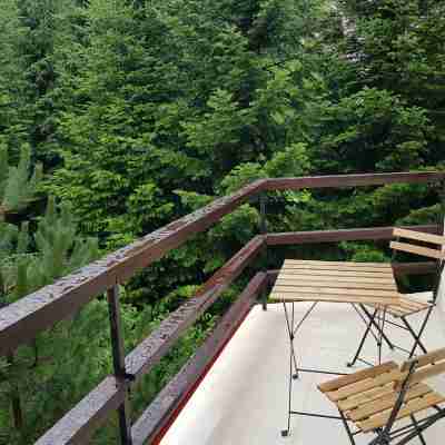 Forest Apartments by Olala Homes Others