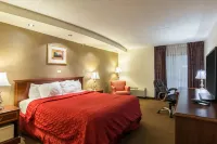 Plaza Inn & Suites