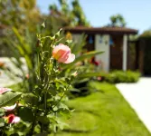 Kerem Apart Hotel Hotels in Karacaagac Mahallesi
