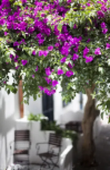 Quartara Boutique Hotel