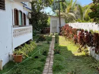 The Bodhi Tree Resort Hotels in Morjim