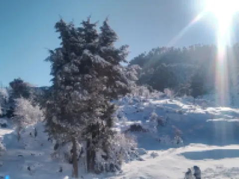 Hotel Himalaya View Hotels in Kempty Range