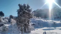 Hotel Himalaya View Hotels in Kempty Range