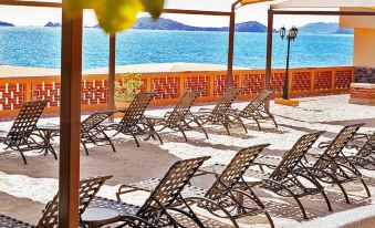 Sea of Cortez Beach Club