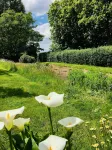 Paardenhof Guesthouse Hotel a Bollezeele