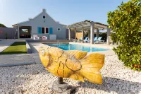 Aruba Boutique Apartments - Adults Only - Strand
