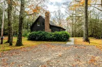 Modern, Cozy, Idyllic Log Cabin Secluded on 6 Serene Acres