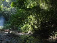 Holiday Rental in Sumatra Hotels in Langkat Regency