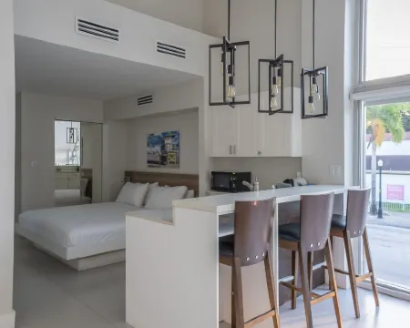 โรงแรมบิสเคย์น โรงแรมในไมอามี