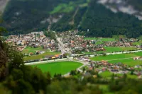 Alpenrose