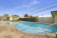 Safari Inn - Chico - Pool