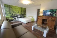 Apartment in the heart of Riquewihr