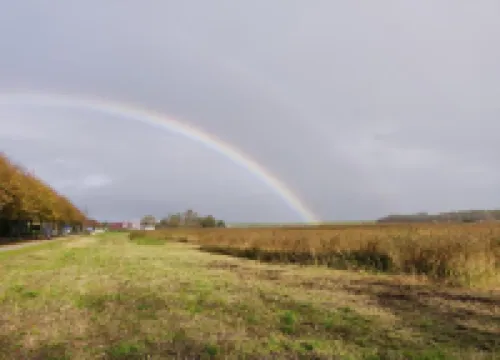 Traditional Villa with Dishwasher on Texel Near the Sea