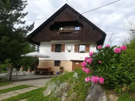 Ideal base for bikers, hiking, mushrooms u. Nature lovers in best location Отели в г. Копривник-у-Бохіню