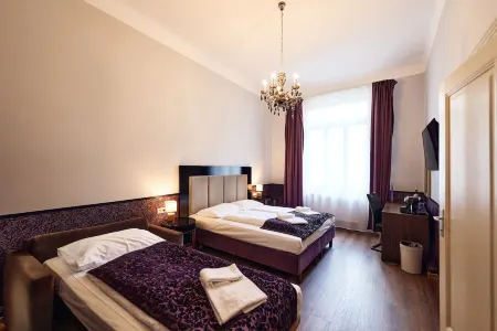 ホテル ペンション バロン アム ショッテントーア