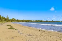 Sand Dollar Beachfront Condo! New upgrades, steps from the beach! Paradise!