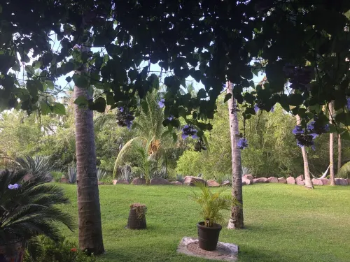 Beautiful Modern Beach Condo