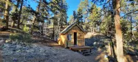 Forest cabin on 4 acres,  Newly renovated, Quiet and secluded.