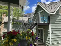 Walk to Everything in Ouray, ideal location! Air conditioner!