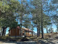 En fredelig flukt til en paradisisk utsikt! sover 8 Hotels in Svelvik