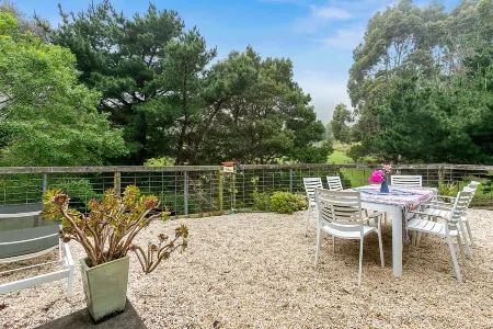 Escape to Valley View Nature Retreat – A Hidden Sanctuary in Apollo Bay