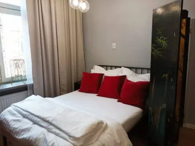 Prestigious apartment in city center