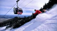 Merry Maple Getaway