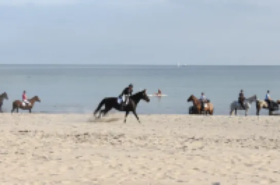 Your vacation home between forest and waves