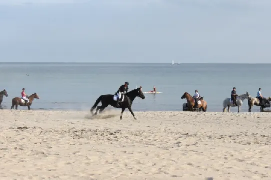 Your vacation home between forest and waves